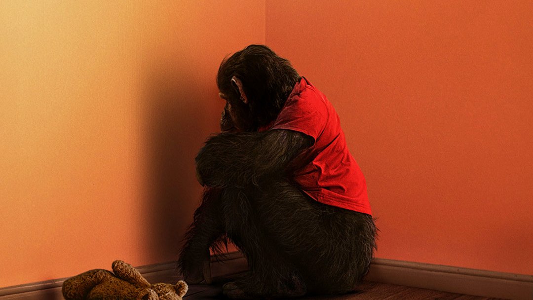 Primate: A Rabid Chimp Horror Film from Resident Evil Director